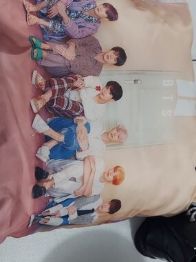 Pink Photo Print Fan Pillowcase - Soft Decorative Bedding